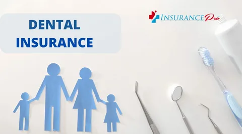 What insurance does comfort dental take