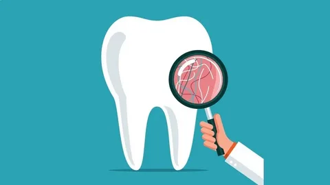 What insurance does comfort dental take